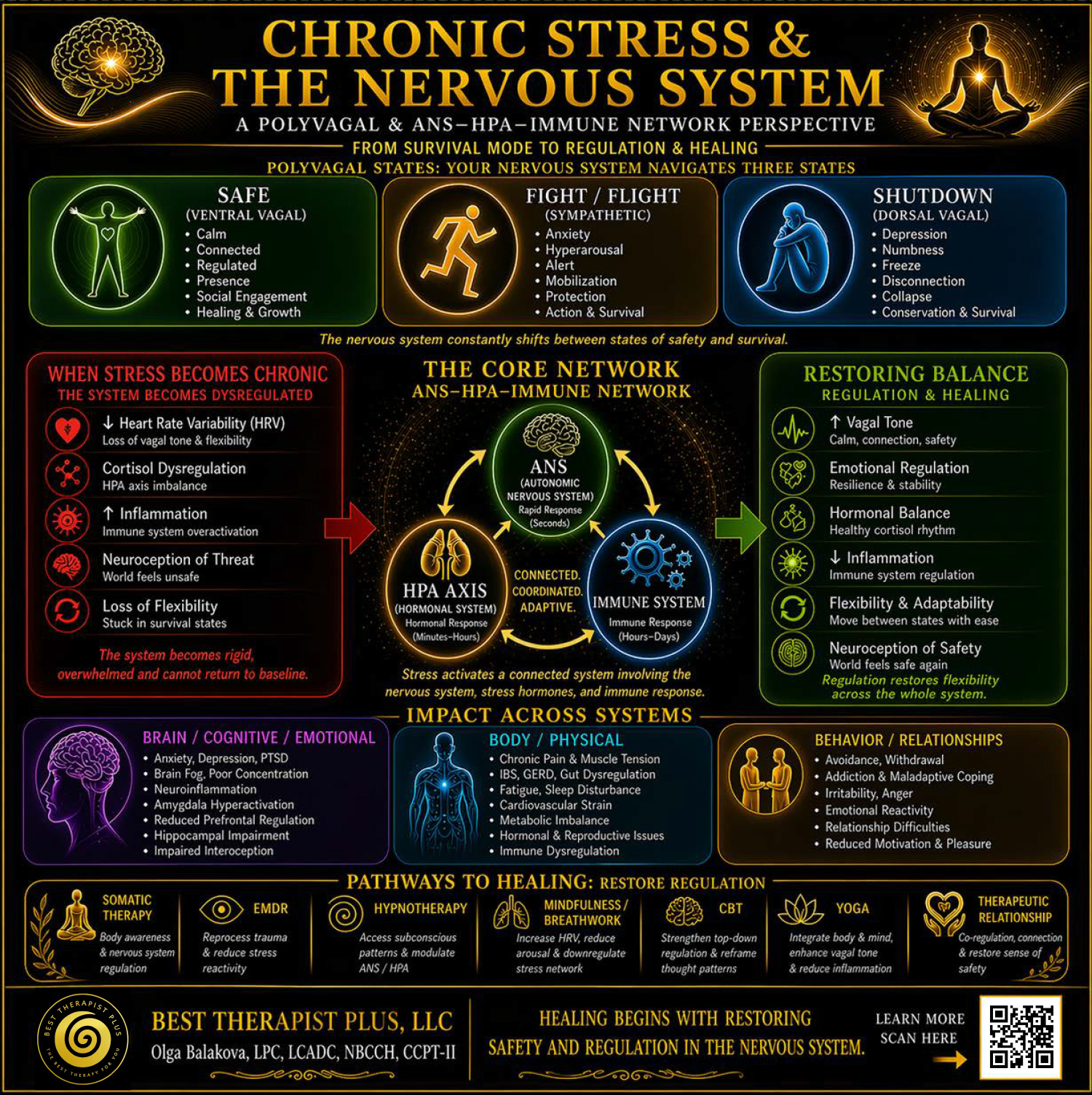 Chronic Stress & The Nervous System